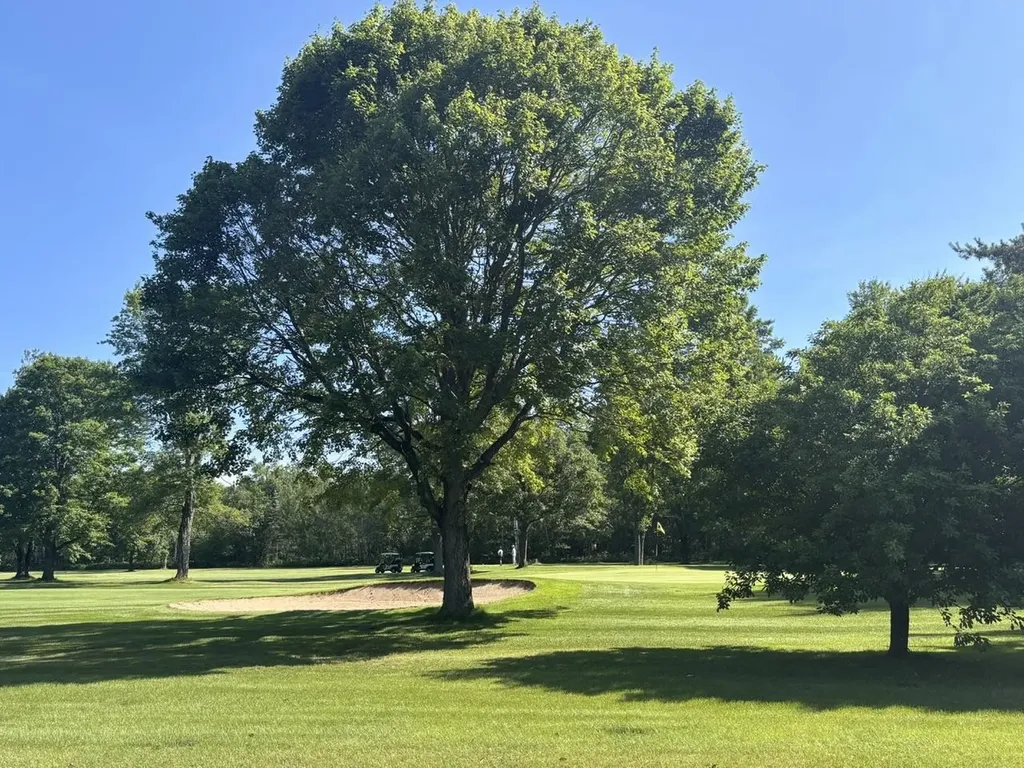 8444 Pineview Mancelona Township MI 49659