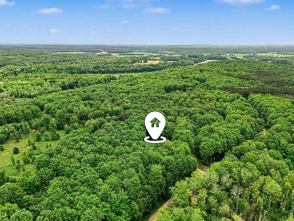 444 Westlane Drive Pioneer Township MI 49651