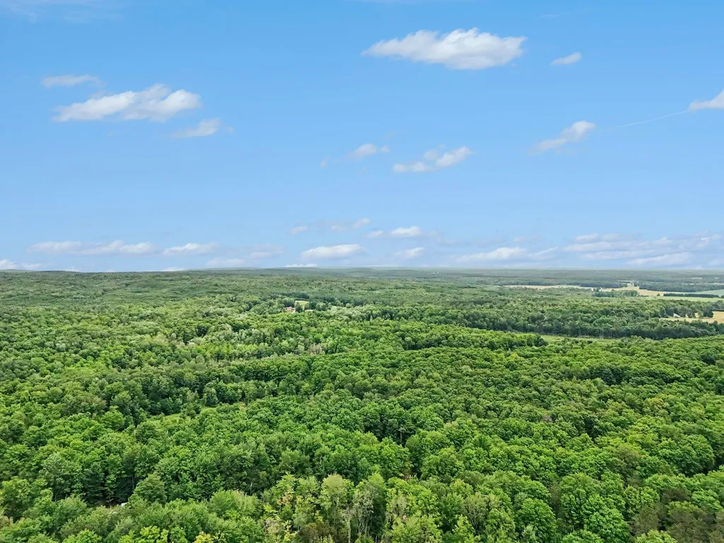 444 Westlane Drive Pioneer Township MI 49651