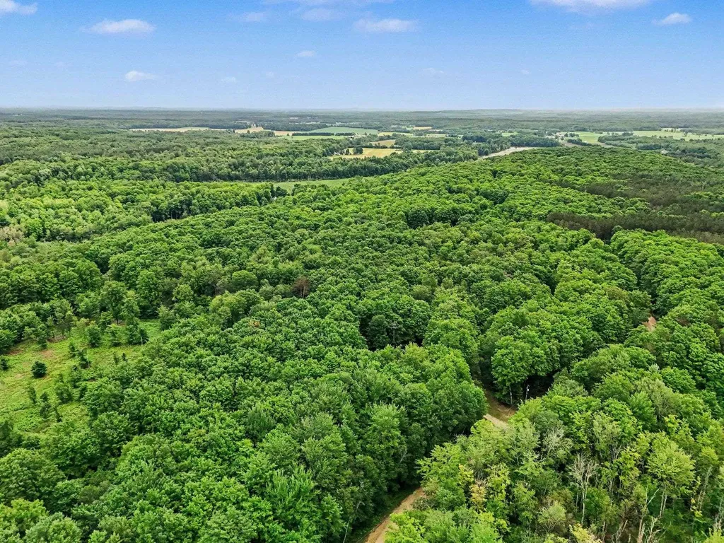 444 Westlane Drive Pioneer Township MI 49651