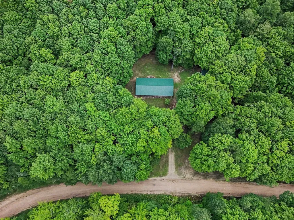 444 Westlane Drive Pioneer Township MI 49651