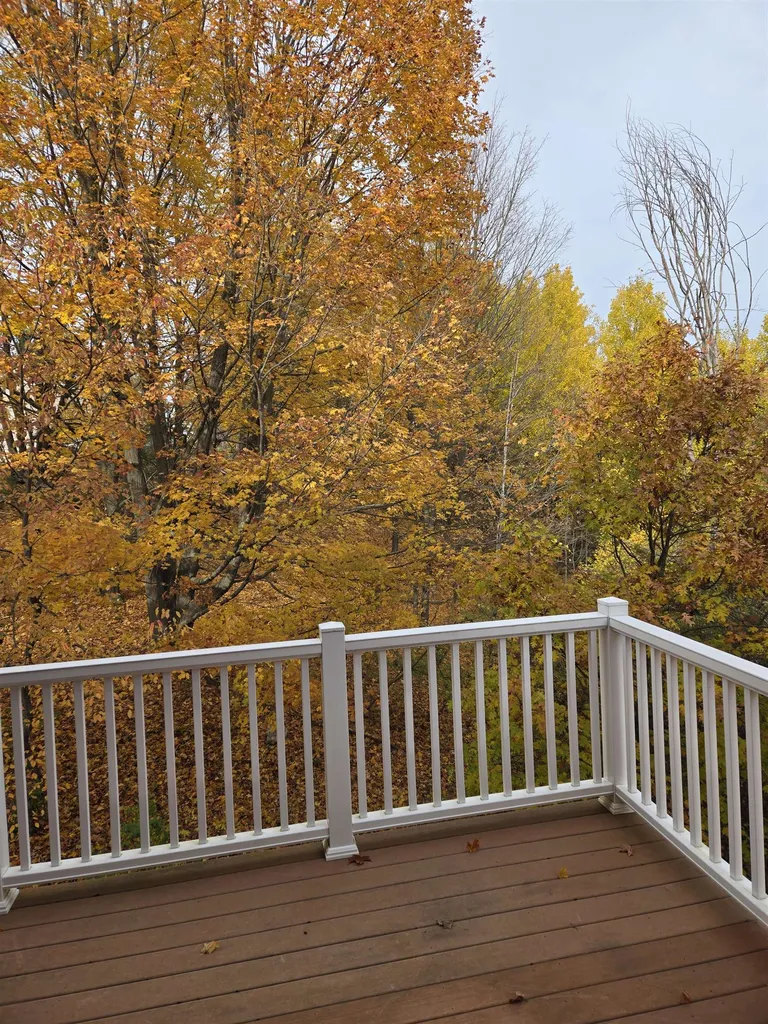 10579 Camrose Circle Traverse City City MI 49684