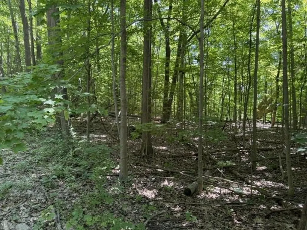 0 Frankfort Highway Crystal Lake Township MI 49635