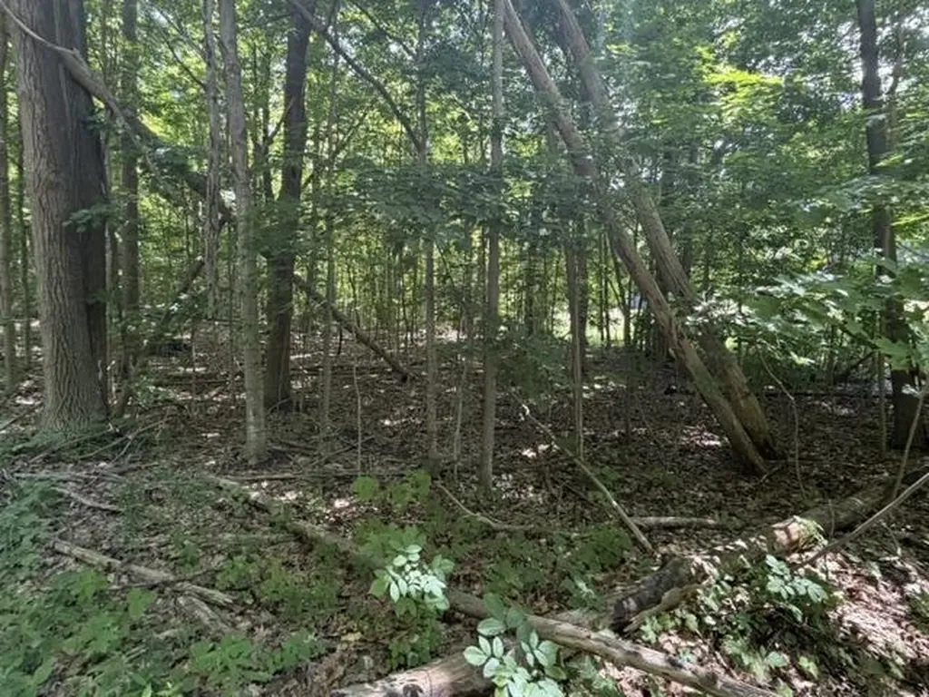 0 Frankfort Highway Crystal Lake Township MI 49635