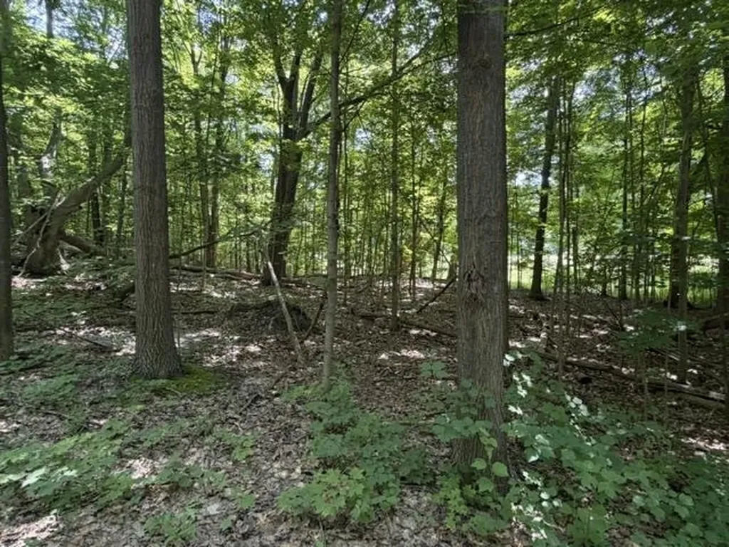 0 Frankfort Highway Crystal Lake Township MI 49635