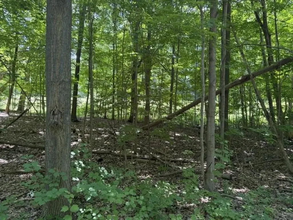 0 Frankfort Highway Crystal Lake Township MI 49635