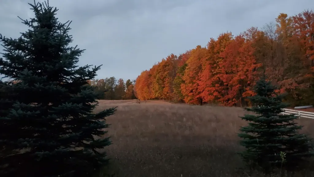 5661 NW Way Road Clearwater Township MI 49676