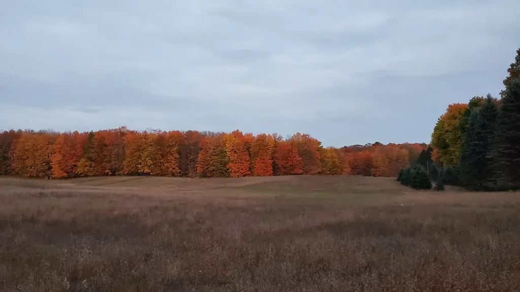5661 NW Way Road Clearwater Township MI 49676
