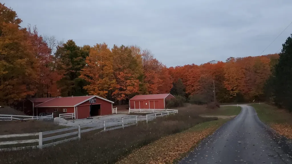 5661 NW Way Road Clearwater Township MI 49676