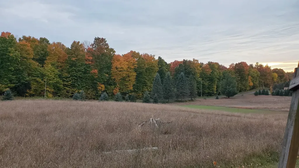 5661 NW Way Road Clearwater Township MI 49676
