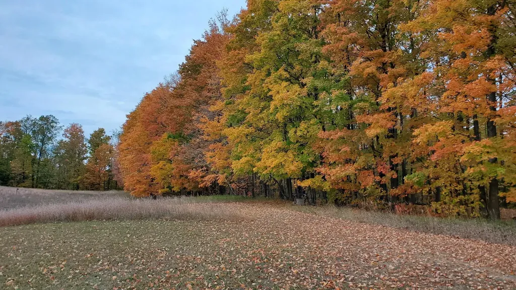 5661 NW Way Road Clearwater Township MI 49676