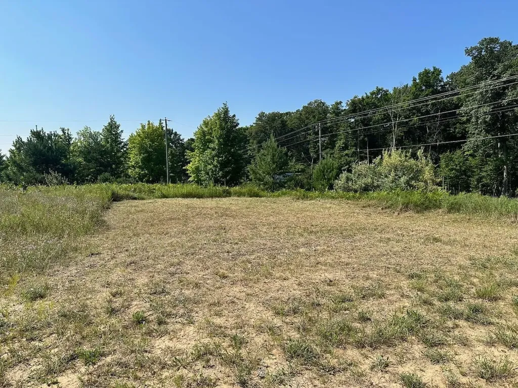 Unit 3 Shanty Creek Road Custer Township MI 49615