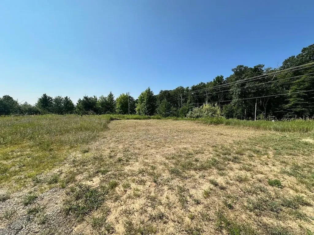 Unit 3 Shanty Creek Road Custer Township MI 49615