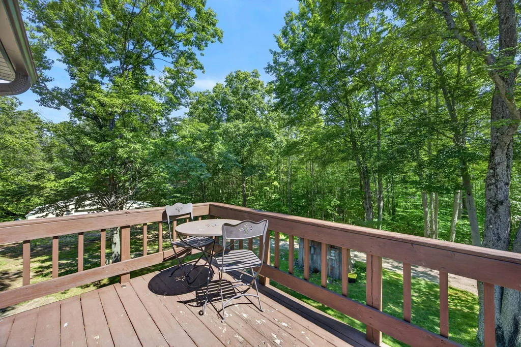 5358 S Seeley Road Haring Charter Township MI 49601