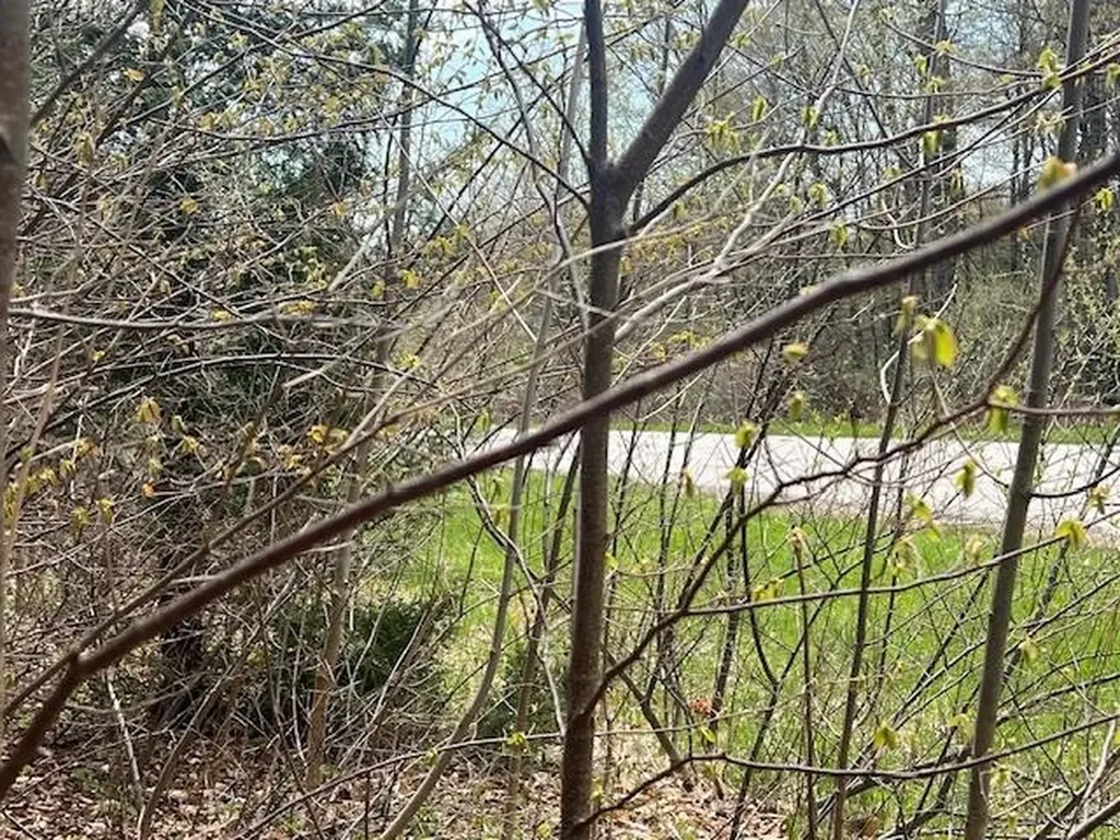 Lot 22 N Foxview Drive Leelanau Township MI 49670