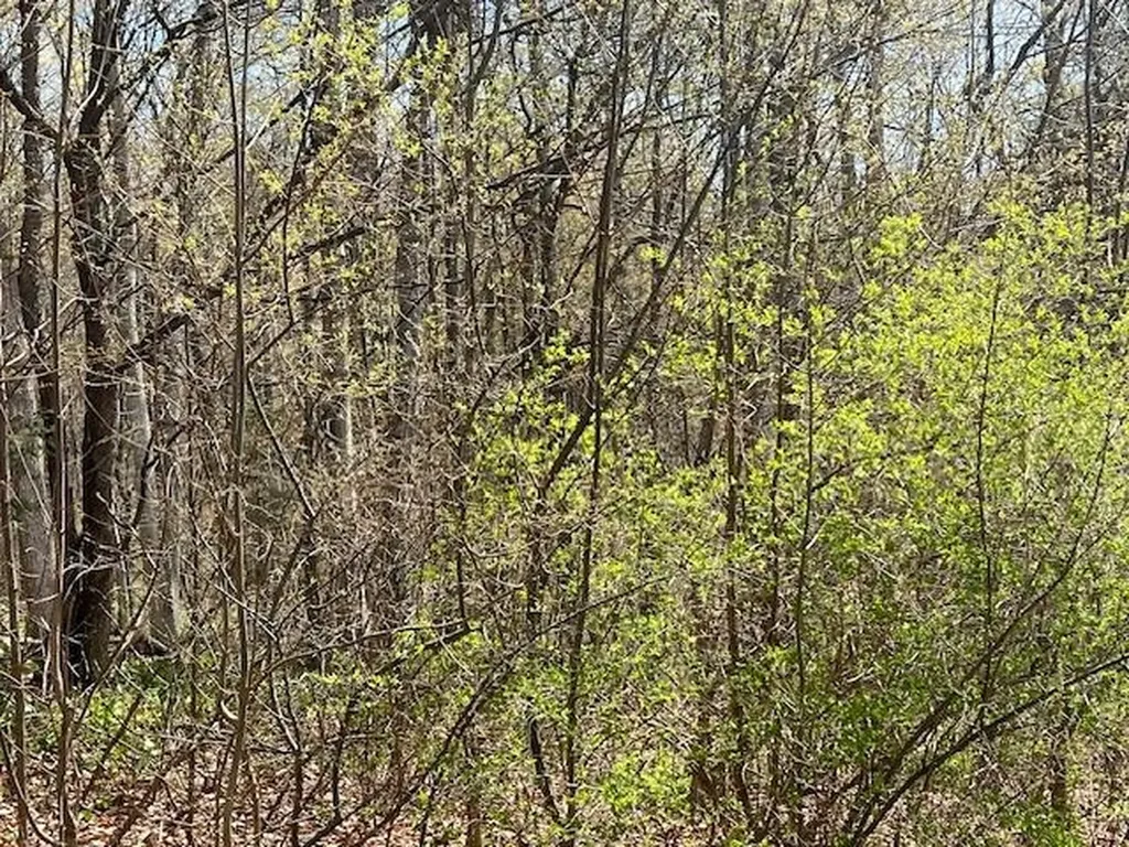 Lot 22 N Foxview Drive Leelanau Township MI 49670