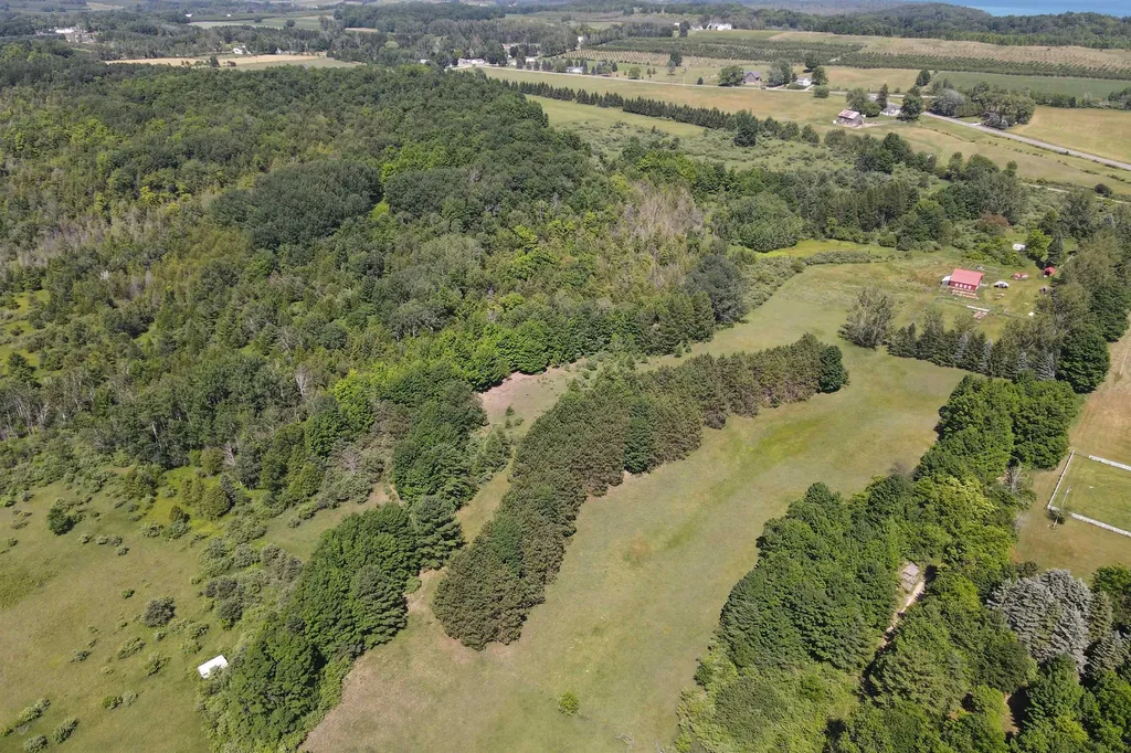 4626 S Center Highway Bingham Township MI 49682