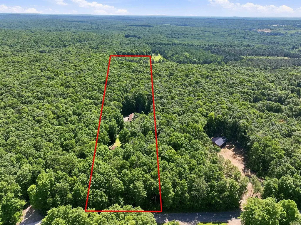 9940 N Vandermeulen Road Pioneer Township MI 49651
