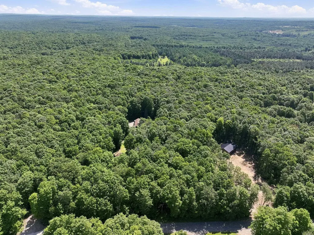 9940 N Vandermeulen Road Pioneer Township MI 49651