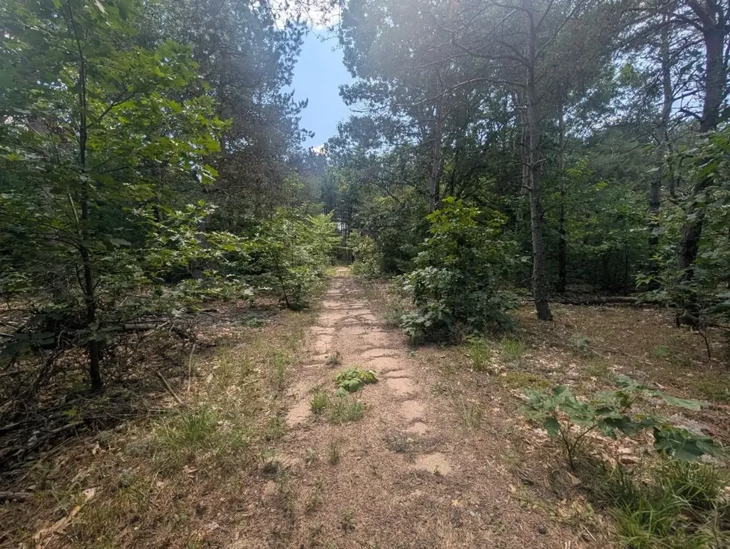 3360 Starlight Trail Paradise Township MI 49649