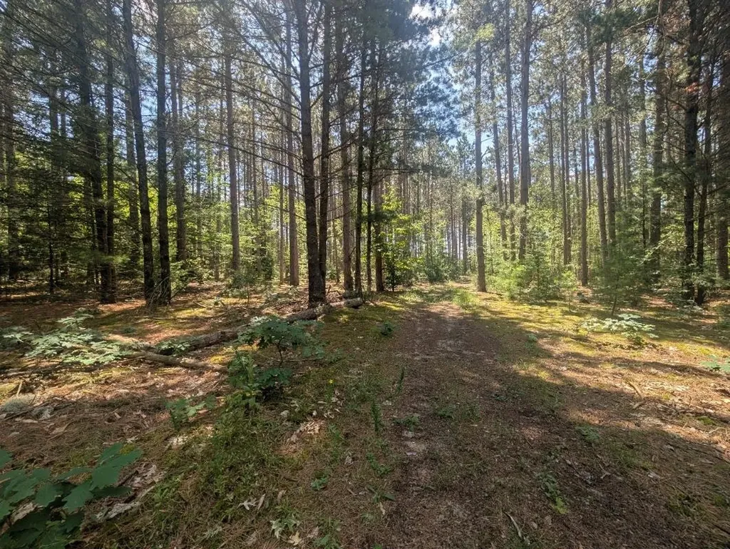 3360 Starlight Trail Paradise Township MI 49649
