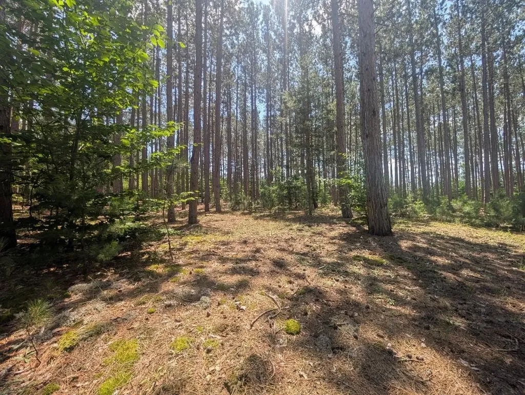 3360 Starlight Trail Paradise Township MI 49649