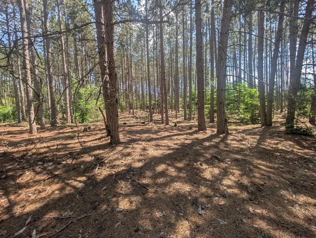 3360 Starlight Trail Paradise Township MI 49649
