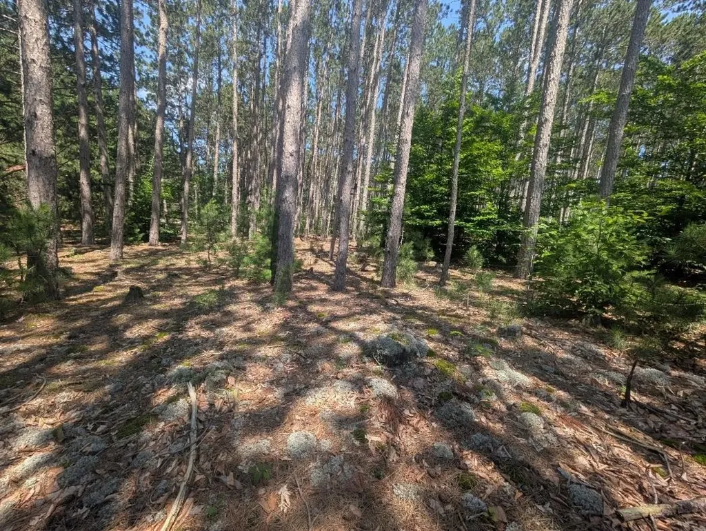 3360 Starlight Trail Paradise Township MI 49649
