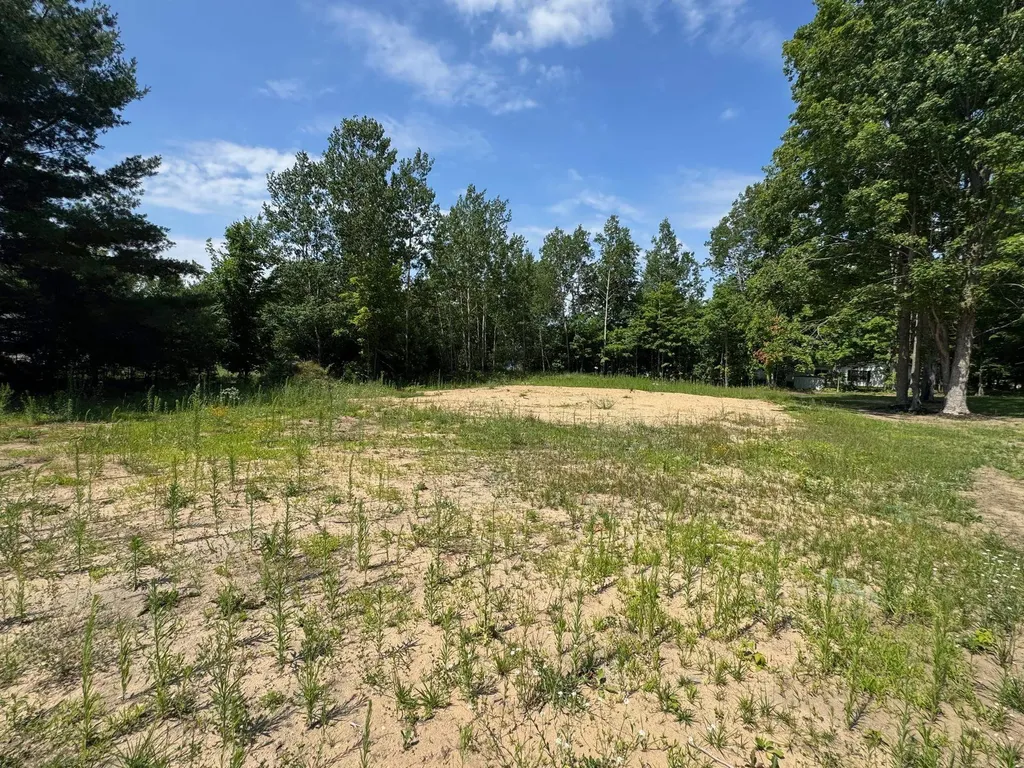 Lot 261 Ottawa Trail Hanover Township MI 49620