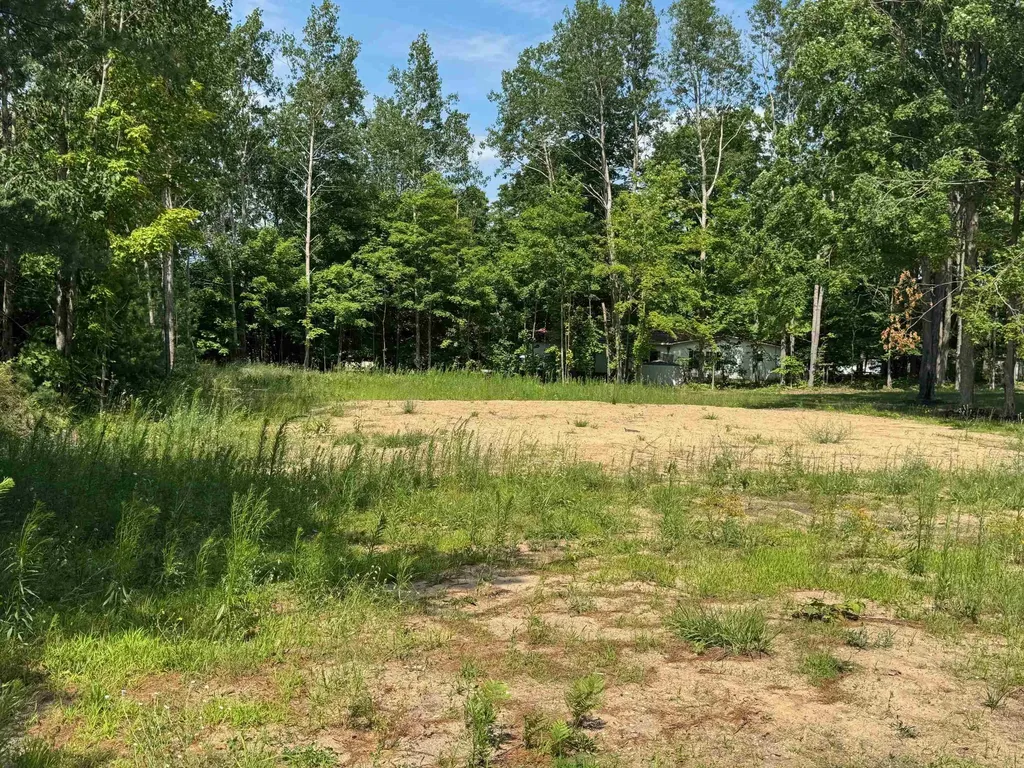 Lot 261 Ottawa Trail Hanover Township MI 49620