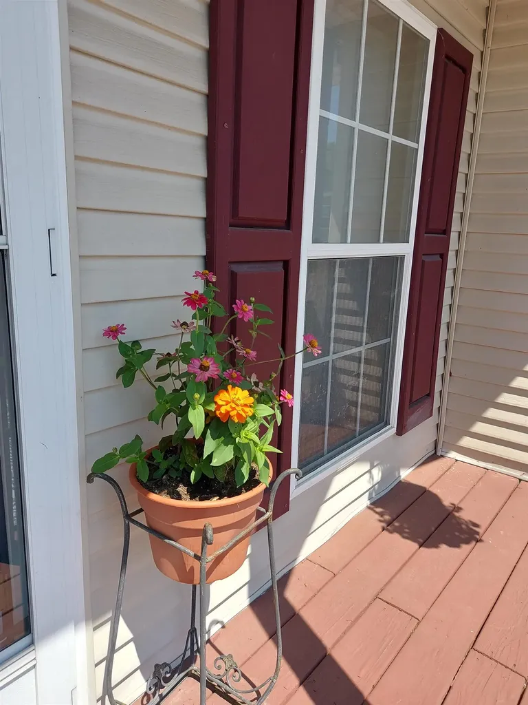 4627 Violet Lane Garfield Charter Township MI 49685
