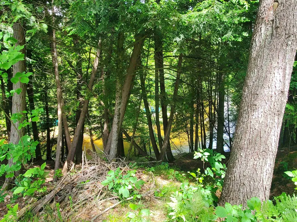 15706 Betsie River Drive Springdale Township MI 49683