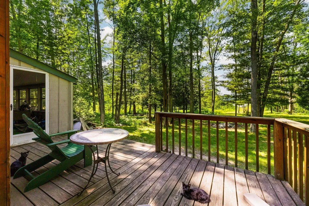 10000 Harmony Drive Green Lake Township MI 49643