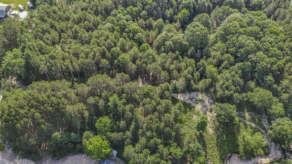 16963 Parcel B Gray Heirs Road Almira Township MI 49650