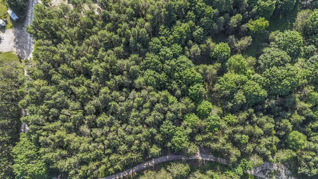 16963 Parcel B Gray Heirs Road Almira Township MI 49650