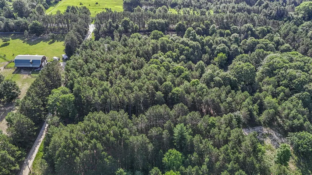 16963 Parcel B Gray Heirs Road Almira Township MI 49650