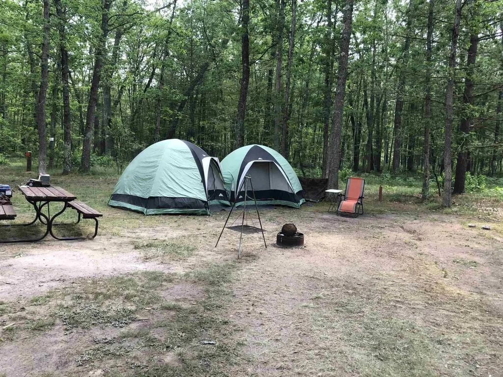 9581 N Brooks Road Elk Township MI 49644