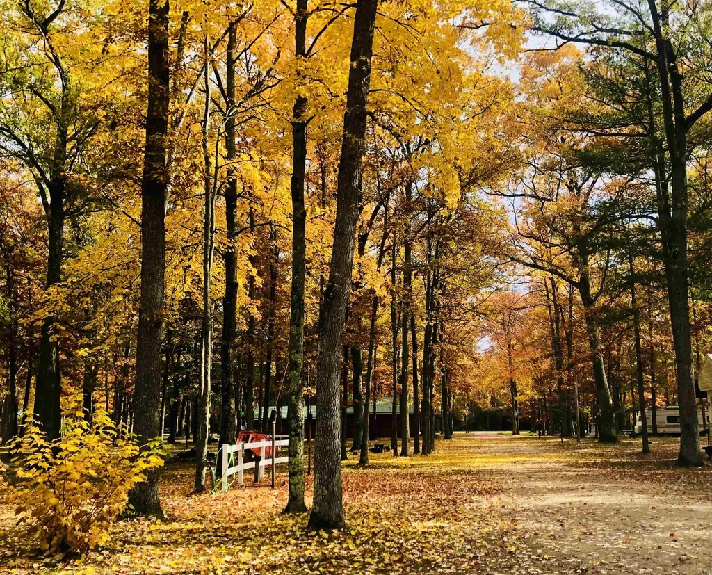 9581 N Brooks Road Elk Township MI 49644