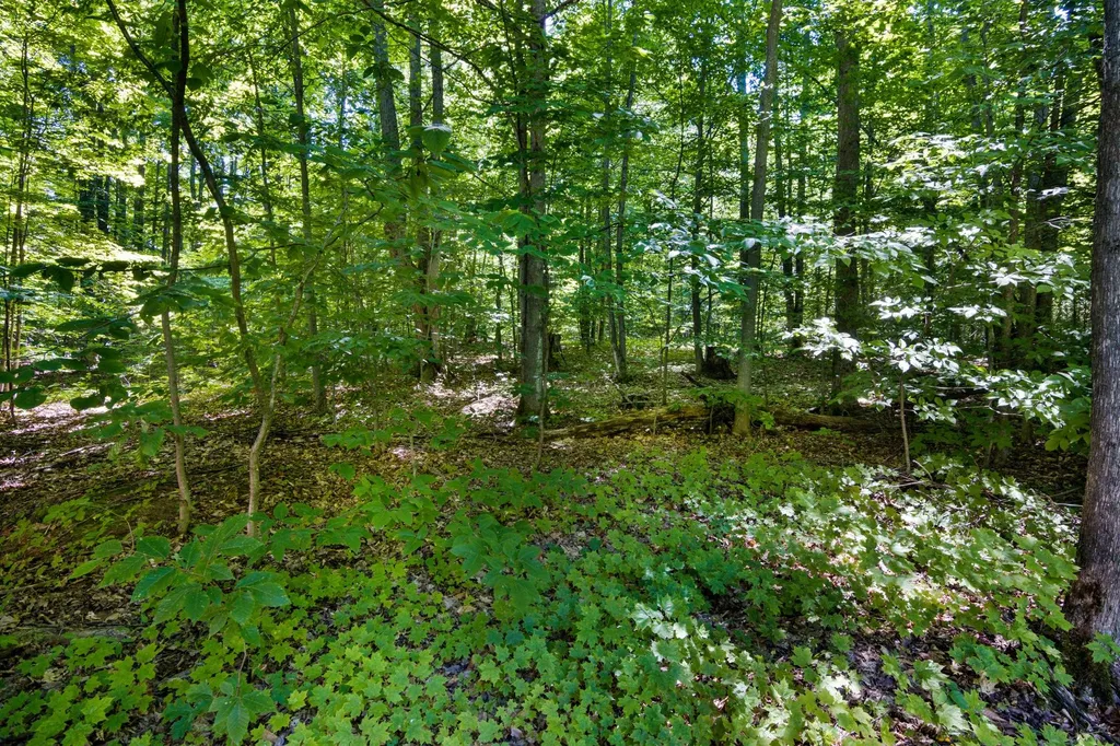2835 Krol Drive Excelsior Township MI 49646
