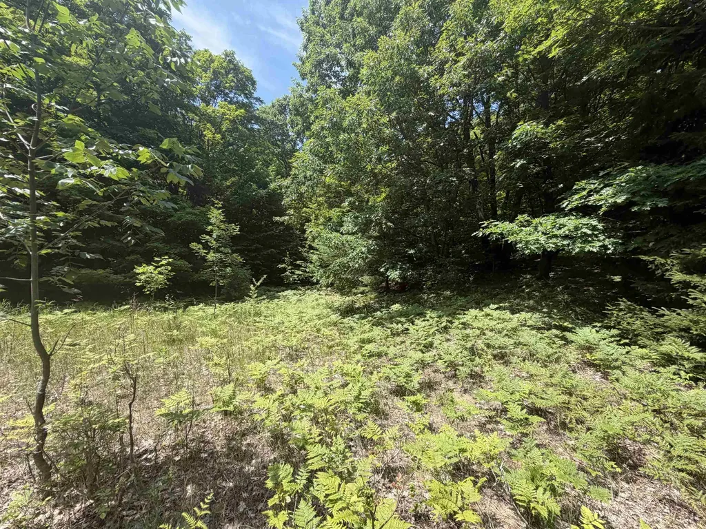0 S Lou-len Lane Elmwood Charter Township MI 49684