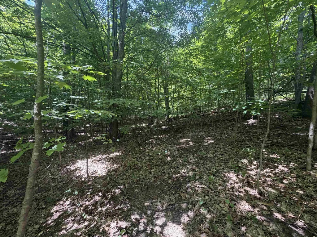 0 S Lou-len Lane Elmwood Charter Township MI 49684