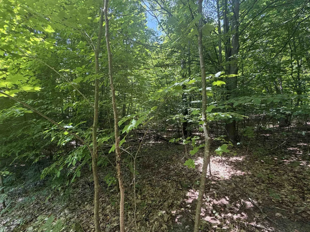 0 S Lou-len Lane Elmwood Charter Township MI 49684