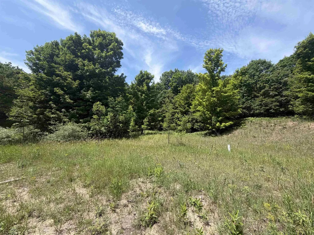 0 S Lou-len Lane Elmwood Charter Township MI 49684