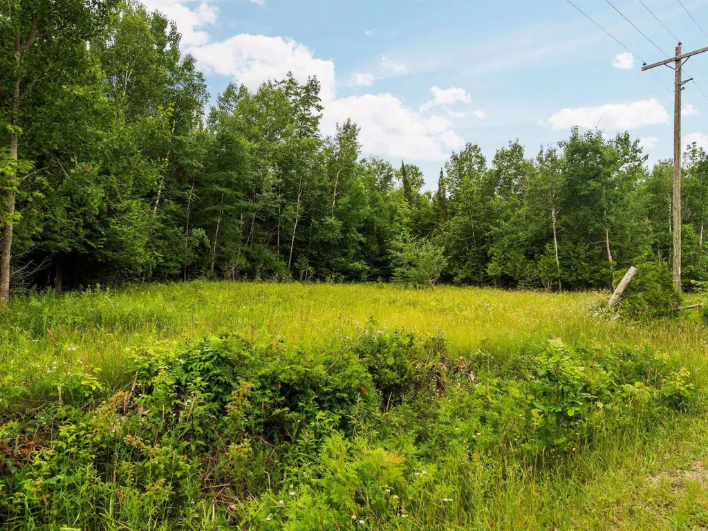 00 Creswell Road Torch Lake Township MI 49648