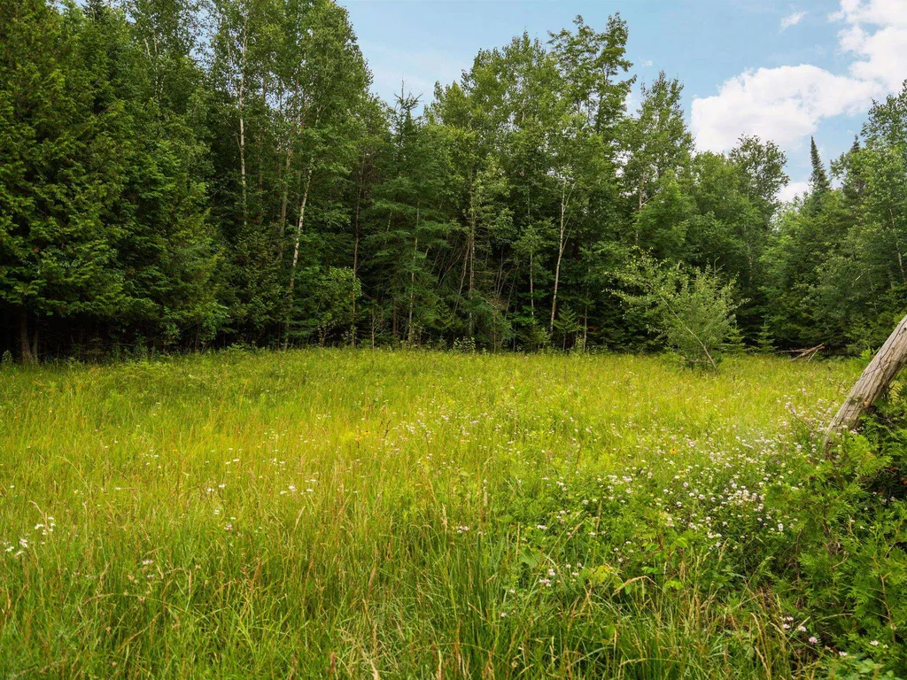 00 Creswell Road Torch Lake Township MI 49648