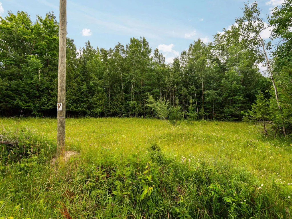 00 Creswell Road Torch Lake Township MI 49648