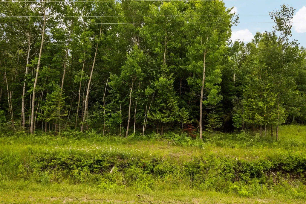 00 Creswell Road Torch Lake Township MI 49648