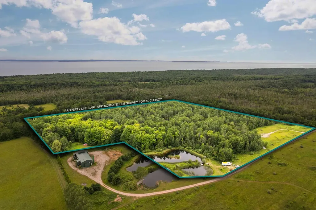 00 Creswell Road Torch Lake Township MI 49648