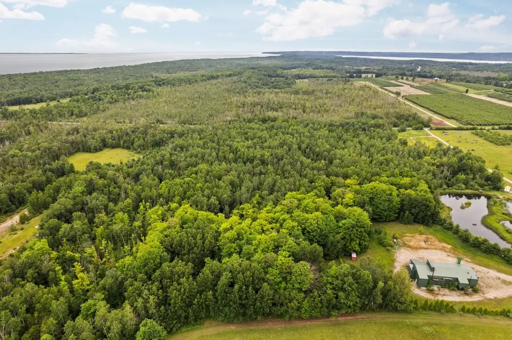00 Creswell Road Torch Lake Township MI 49648