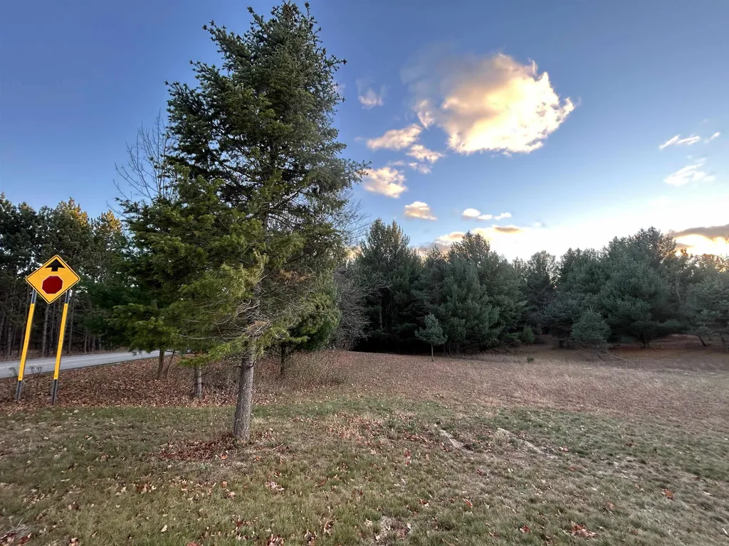Vl Baggs Road Whitewater Township MI 49690